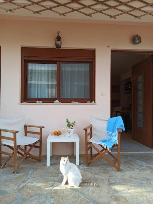 Cozy Apartment In The Heart Of Plaka อายิโอสนิโกลาโอส ภายนอก รูปภาพ